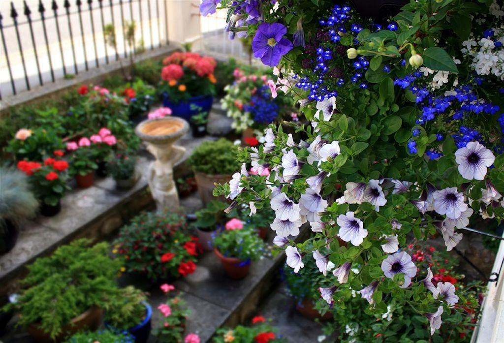 Florence Guest House Weston-super-Mare Bagian luar foto